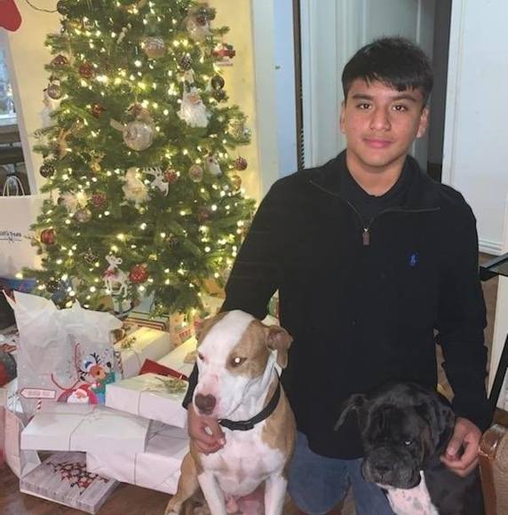 Meet your Posher, Brandon - Picture 1 of 1